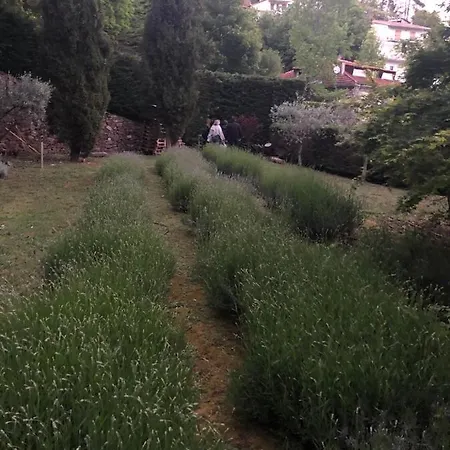 Ribeira Delos Santa Marta de Penaguião