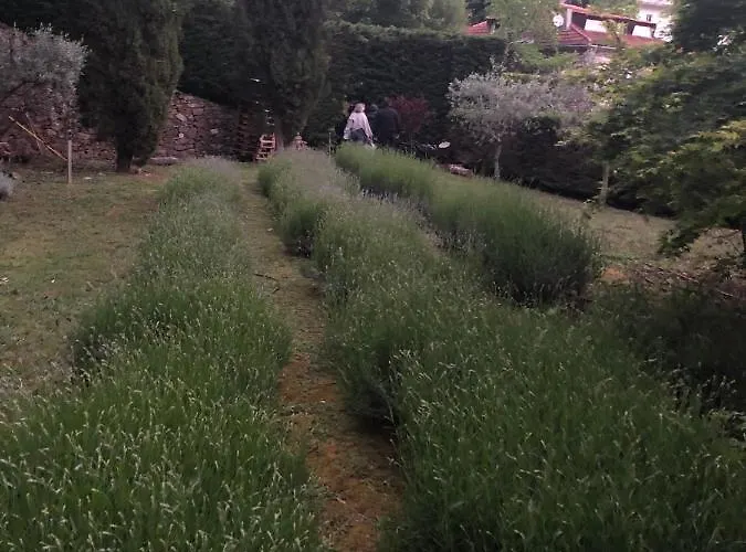 Ribeira Delos Santa Marta de Penaguião